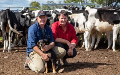 Genomics underpins breeding strategy