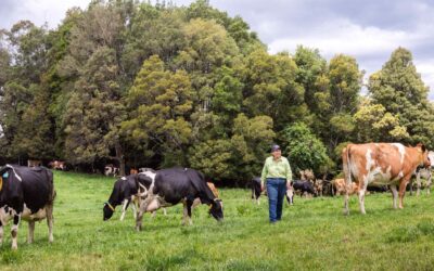 Adding “Moore” data to boost breeding values